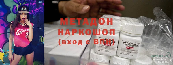 шишки Магас