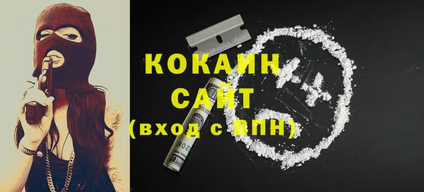 шишки Магас