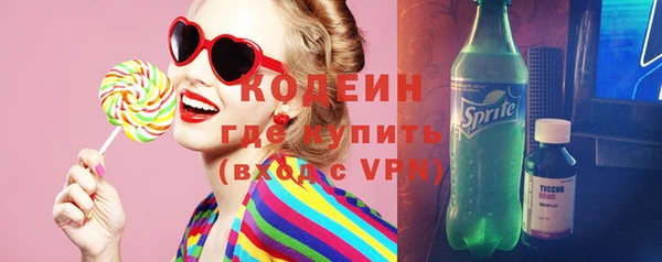 шишки Магас