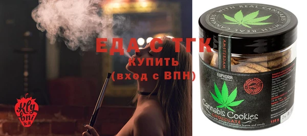 шишки Магас