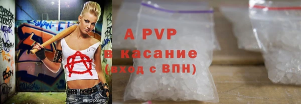 ECSTASY Магадан