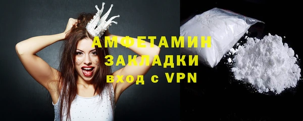 шишки Магас