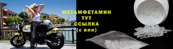 шишки Магас