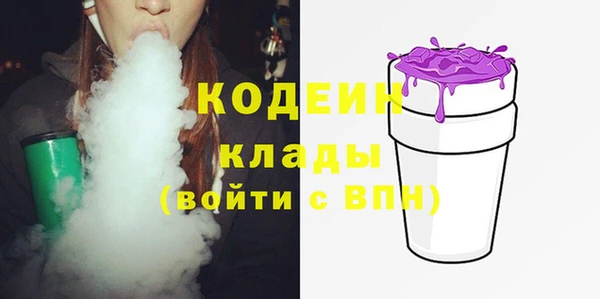 шишки Магас