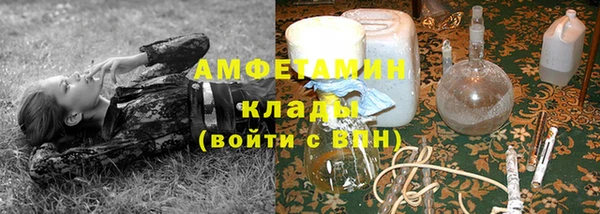 шишки Магас
