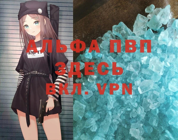 шишки Магас