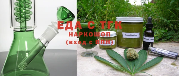 шишки Магас