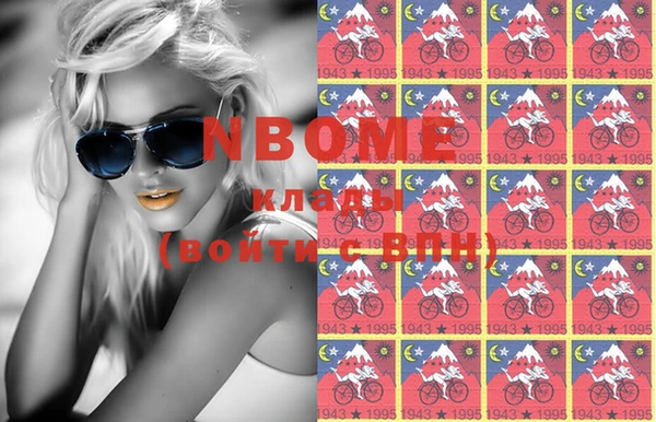 шишки Магас