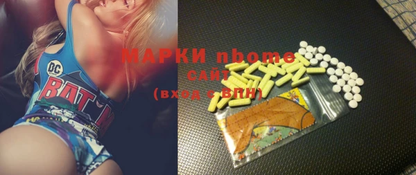 шишки Магас
