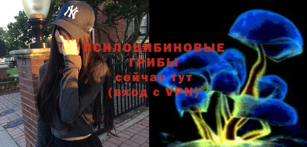 шишки Магас
