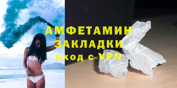 шишки Магас