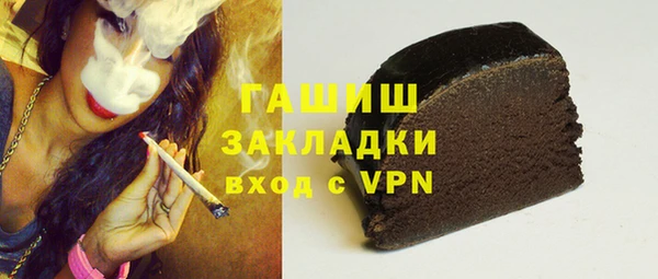 шишки Магас