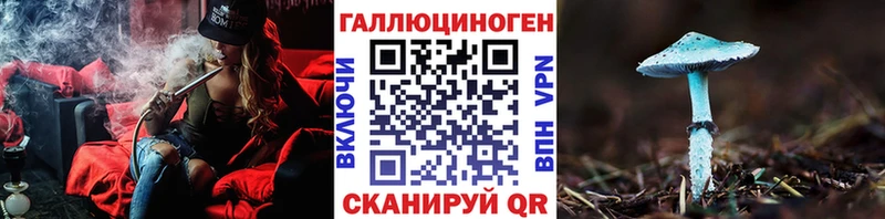 Галлюциногенные грибы Psilocybine cubensis  Купить  Курчатов 